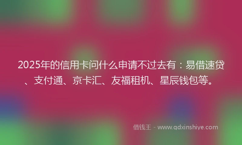 2025年的信用卡问什么申请不过去有：易借速贷、支付通、京卡汇、友福租机、星辰钱包等。