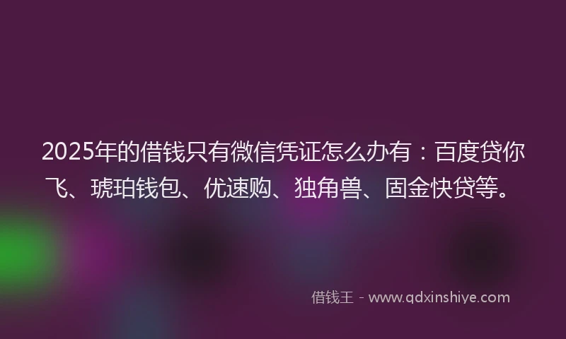 2025年的借钱只有微信凭证怎么办有：百度贷你飞、琥珀钱包、优速购、独角兽、固金快贷等。