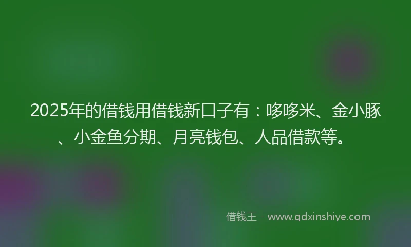 2025年的借钱用借钱新口子有：哆哆米、金小豚、小金鱼分期、月亮钱包、人品借款等。