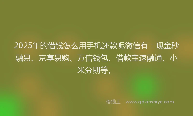 2025年的借钱怎么用手机还款呢微信有：现金秒融易、京享易购、万信钱包、借款宝速融通、小米分期等。
