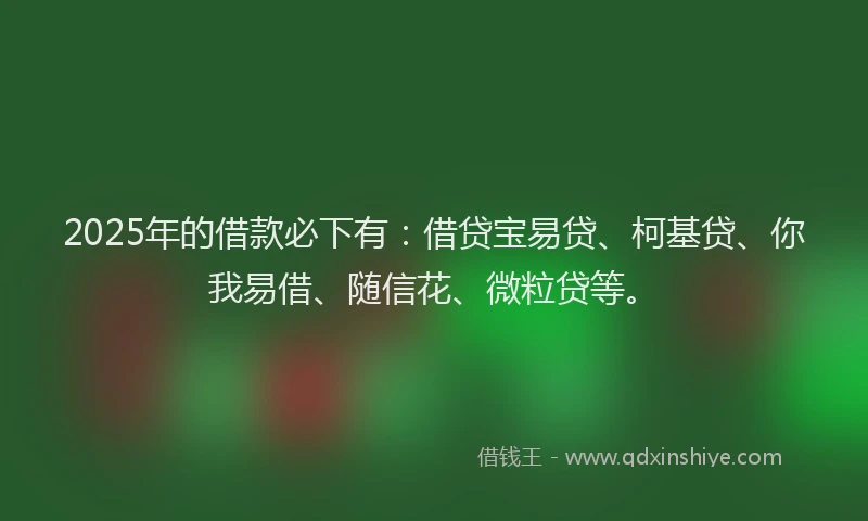 2025年的借款必下有：借贷宝易贷、柯基贷、你我易借、随信花、微粒贷等。