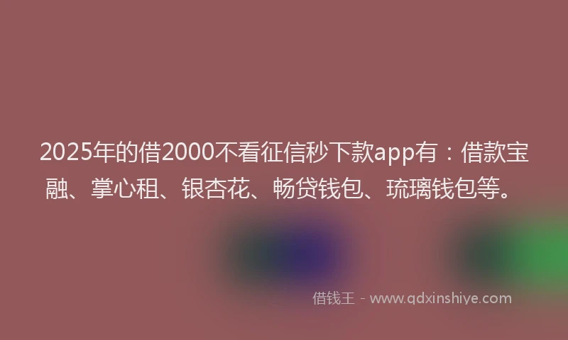 2025年的借2000不看征信秒下款app有：借款宝融、掌心租、银杏花、畅贷钱包、琉璃钱包等。
