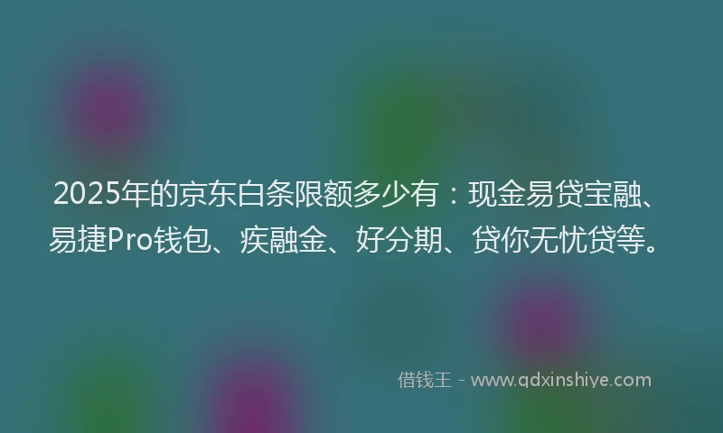 2025年的京东白条限额多少有：现金易贷宝融、易捷Pro钱包、疾融金、好分期、贷你无忧贷等。