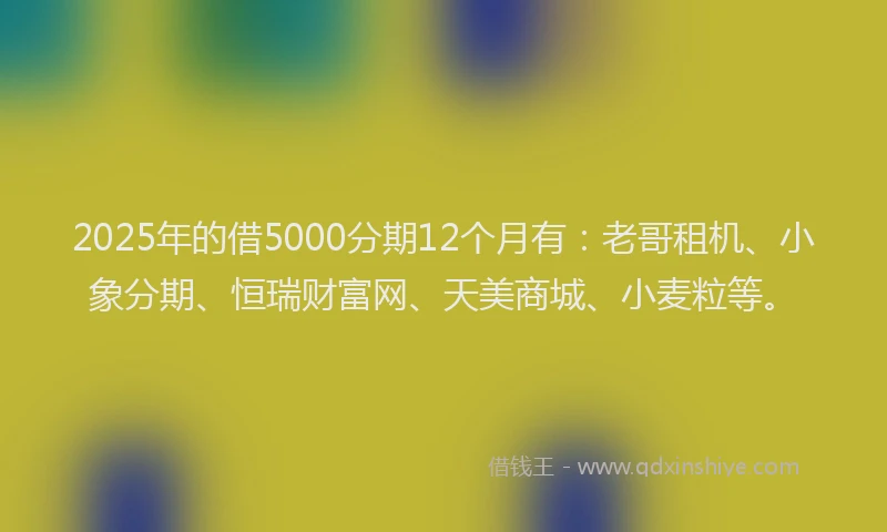 2025年的借5000分期12个月有：老哥租机、小象分期、恒瑞财富网、天美商城、小麦粒等。