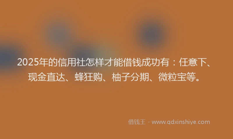 2025年的信用社怎样才能借钱成功有：任意下、现金直达、蜂狂购、柚子分期、微粒宝等。