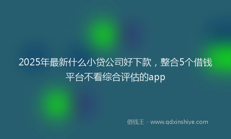 2025年最新什么小贷公司好下款，整合5个借钱平台不看综合评估的app