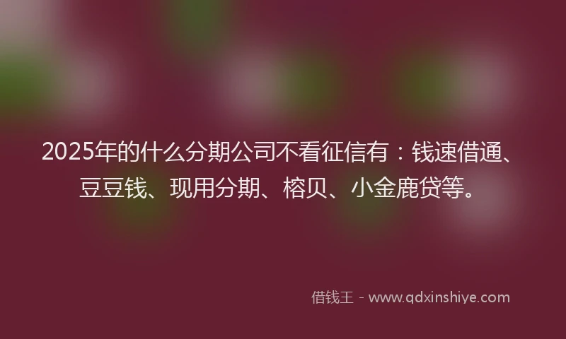 2025年的什么分期公司不看征信有：钱速借通、豆豆钱、现用分期、榕贝、小金鹿贷等。