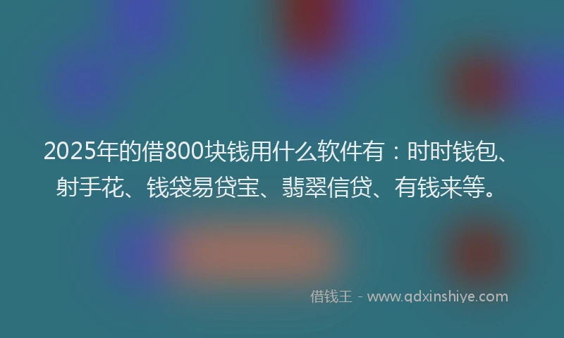 2025年的借800块钱用什么软件有：时时钱包、射手花、钱袋易贷宝、翡翠信贷、有钱来等。