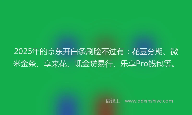 2025年的京东开白条刷脸不过有：花豆分期、微米金条、享来花、现金贷易行、乐享Pro钱包等。