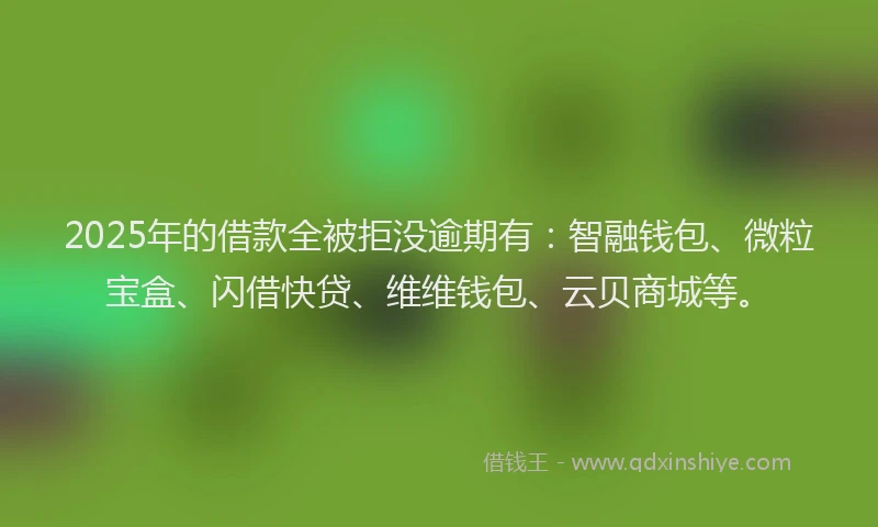 2025年的借款全被拒没逾期有：智融钱包、微粒宝盒、闪借快贷、维维钱包、云贝商城等。