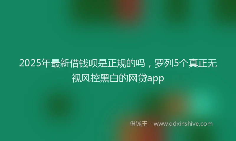 2025年最新借钱呗是正规的吗，罗列5个真正无视风控黑白的网贷app