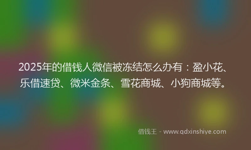 2025年的借钱人微信被冻结怎么办有：盈小花、乐借速贷、微米金条、雪花商城、小狗商城等。