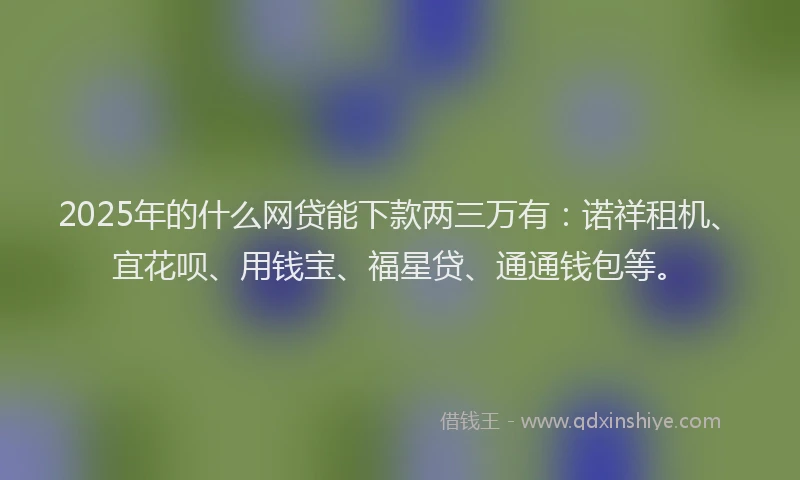 2025年的什么网贷能下款两三万有：诺祥租机、宜花呗、用钱宝、福星贷、通通钱包等。
