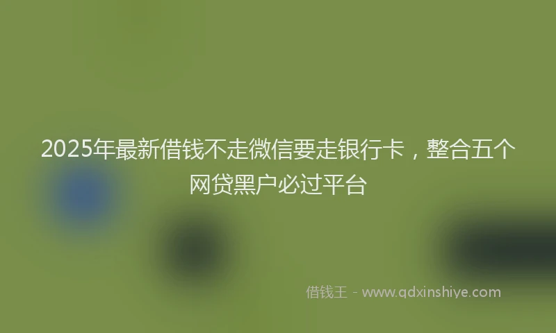 2025年最新借钱不走微信要走银行卡，整合五个网贷黑户必过平台