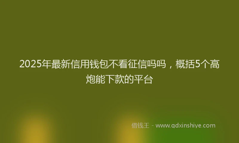 2025年最新信用钱包不看征信吗吗，概括5个高炮能下款的平台