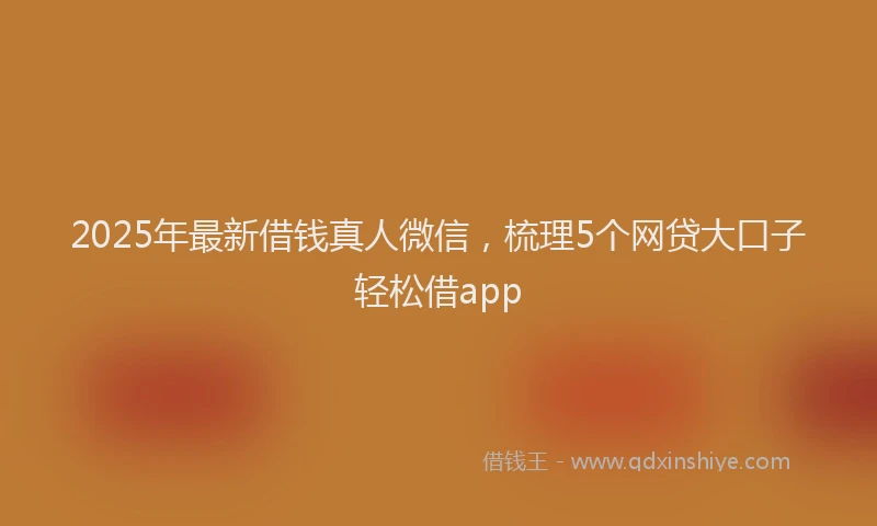 2025年最新借钱真人微信，梳理5个网贷大口子轻松借app