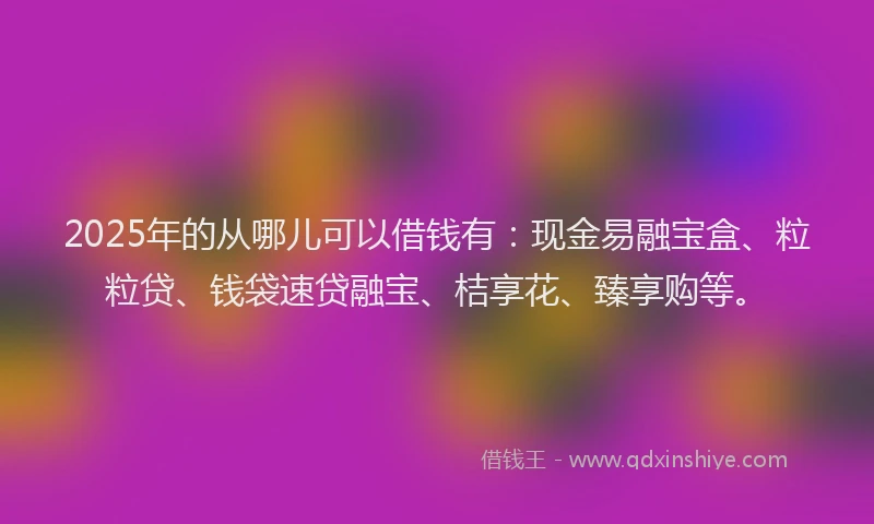 2025年的从哪儿可以借钱有：现金易融宝盒、粒粒贷、钱袋速贷融宝、桔享花、臻享购等。