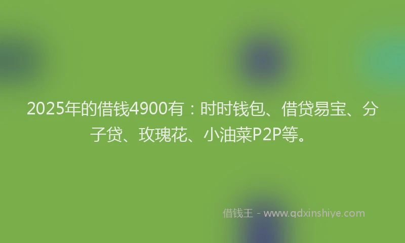 2025年的借钱4900有：时时钱包、借贷易宝、分子贷、玫瑰花、小油菜P2P等。
