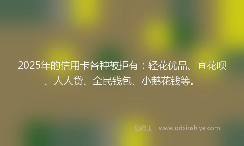2025年的信用卡各种被拒有：轻花优品、宜花呗、人人贷、全民钱包、小鹅花钱等。