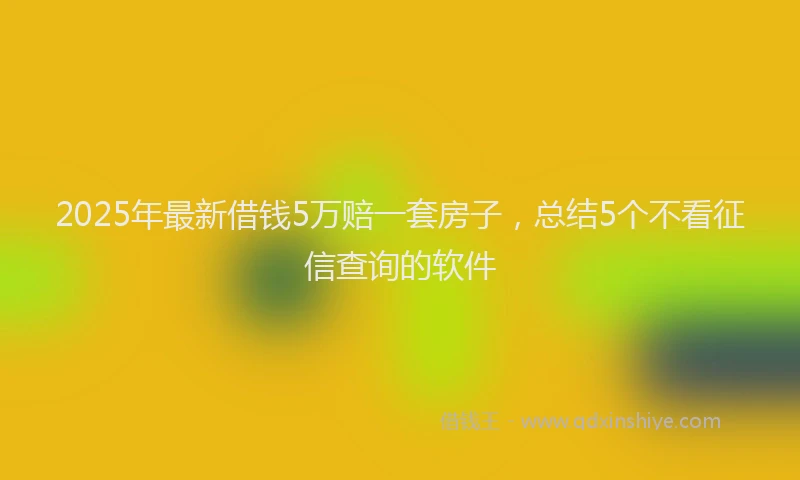2025年最新借钱5万赔一套房子，总结5个不看征信查询的软件