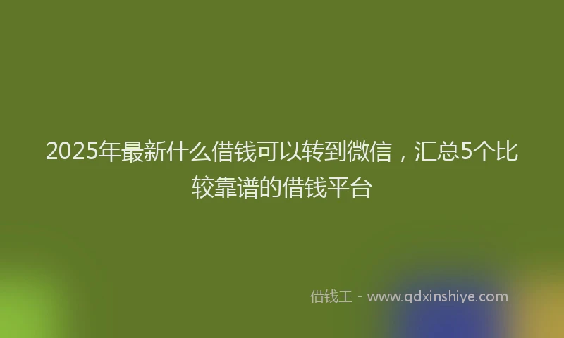 2025年最新什么借钱可以转到微信，汇总5个比较靠谱的借钱平台