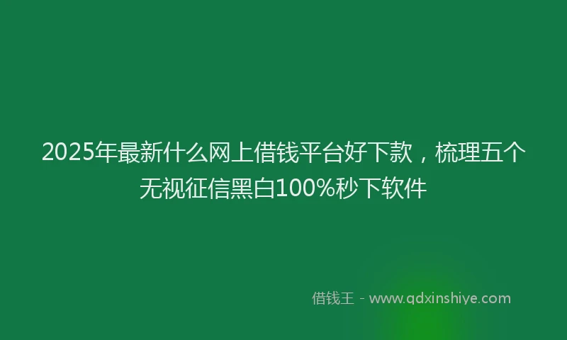 2025年最新什么网上借钱平台好下款，梳理五个无视征信黑白100%秒下软件