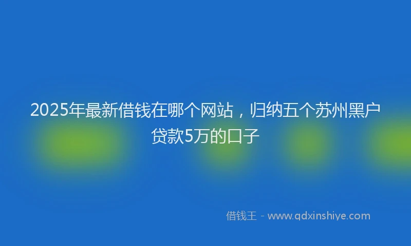 2025年最新借钱在哪个网站，归纳五个苏州黑户贷款5万的口子