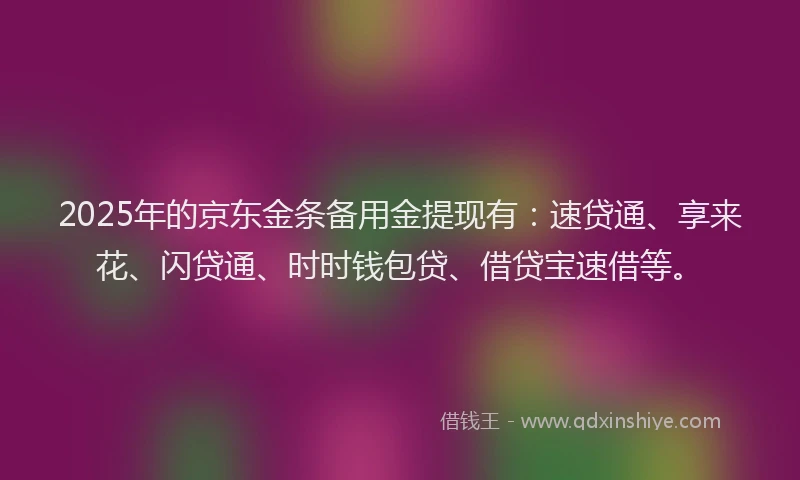 2025年的京东金条备用金提现有：速贷通、享来花、闪贷通、时时钱包贷、借贷宝速借等。