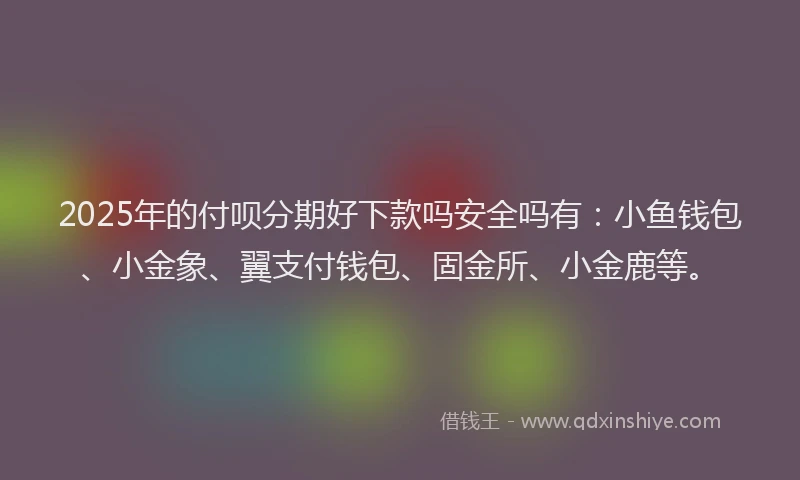 2025年的付呗分期好下款吗安全吗有：小鱼钱包、小金象、翼支付钱包、固金所、小金鹿等。