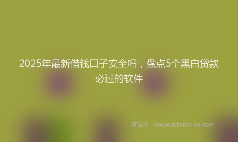 2025年最新借钱口子安全吗，盘点5个黑白贷款必过的软件