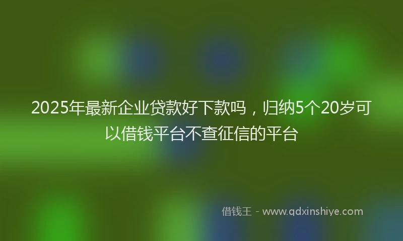 2025年最新企业贷款好下款吗，归纳5个20岁可以借钱平台不查征信的平台