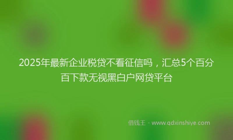 2025年最新企业税贷不看征信吗，汇总5个百分百下款无视黑白户网贷平台