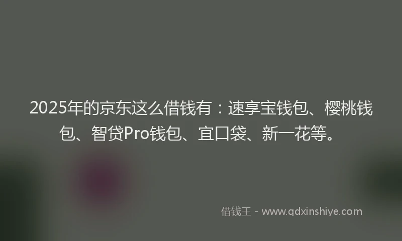 2025年的京东这么借钱有：速享宝钱包、樱桃钱包、智贷Pro钱包、宜口袋、新一花等。