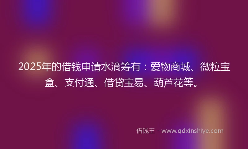 2025年的借钱申请水滴筹有：爱物商城、微粒宝盒、支付通、借贷宝易、葫芦花等。