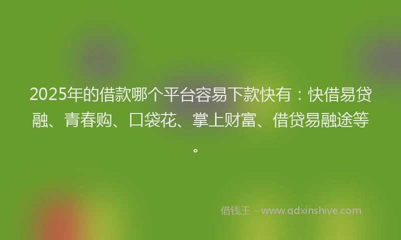 2025年的借款哪个平台容易下款快有：快借易贷融、青春购、口袋花、掌上财富、借贷易融途等。