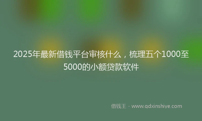 2025年最新借钱平台审核什么，梳理五个1000至5000的小额贷款软件