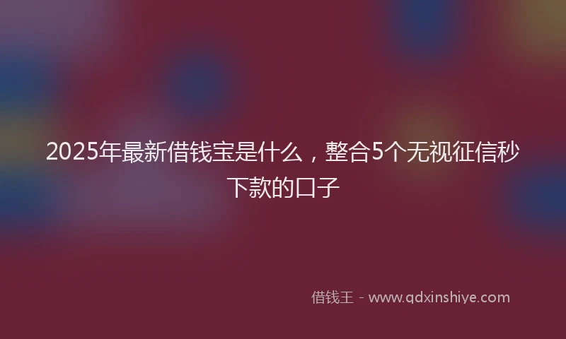 2025年最新借钱宝是什么，整合5个无视征信秒下款的口子