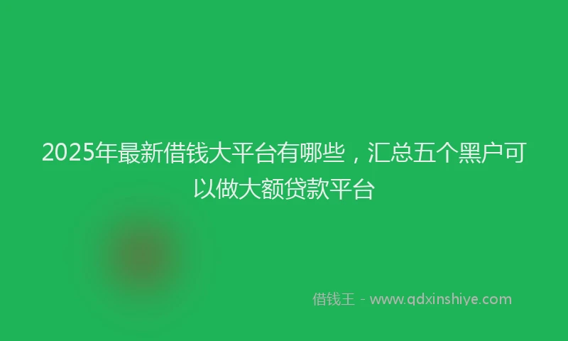 2025年最新借钱大平台有哪些，汇总五个黑户可以做大额贷款平台