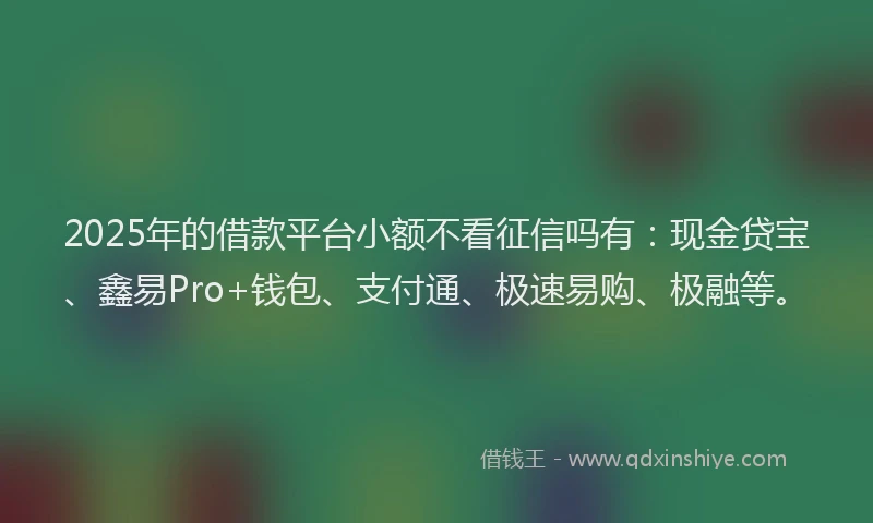2025年的借款平台小额不看征信吗有：现金贷宝、鑫易Pro+钱包、支付通、极速易购、极融等。