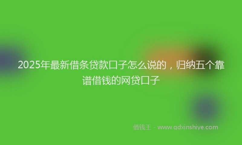 2025年最新借条贷款口子怎么说的，归纳五个靠谱借钱的网贷口子