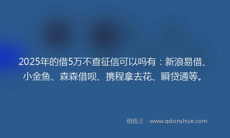 2025年的借5万不查征信可以吗有：新浪易借、小金鱼、森森借呗、携程拿去花、瞬贷通等。