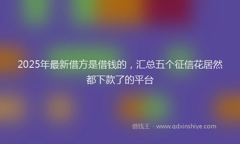 2025年最新借方是借钱的，汇总五个征信花居然都下款了的平台