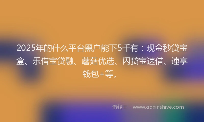 2025年的什么平台黑户能下5千有：现金秒贷宝盒、乐借宝贷融、蘑菇优选、闪贷宝速借、速享钱包+等。