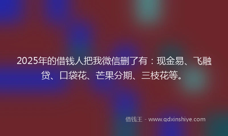 2025年的借钱人把我微信删了有：现金易、飞融贷、口袋花、芒果分期、三枝花等。