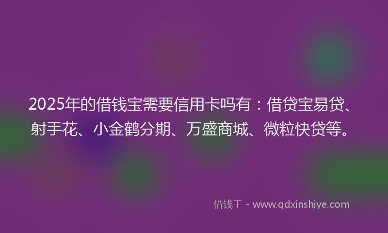 2025年的借钱宝需要信用卡吗有：借贷宝易贷、射手花、小金鹤分期、万盛商城、微粒快贷等。