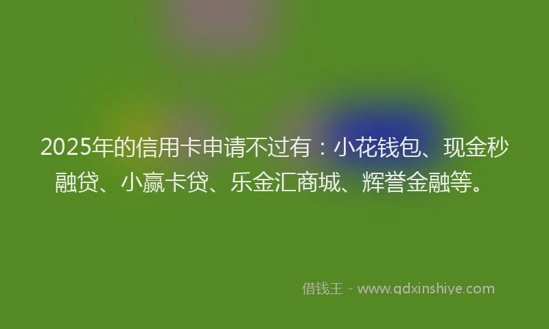 2025年的信用卡申请不过有：小花钱包、现金秒融贷、小赢卡贷、乐金汇商城、辉誉金融等。