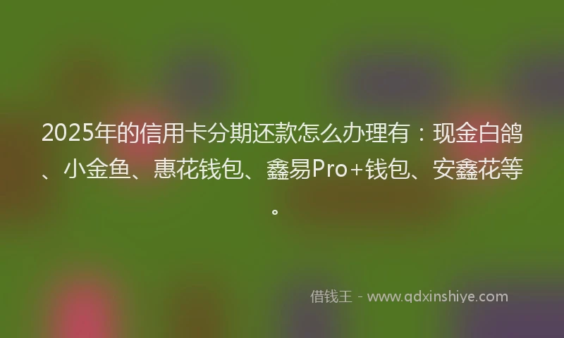 2025年的信用卡分期还款怎么办理有：现金白鸽、小金鱼、惠花钱包、鑫易Pro+钱包、安鑫花等。