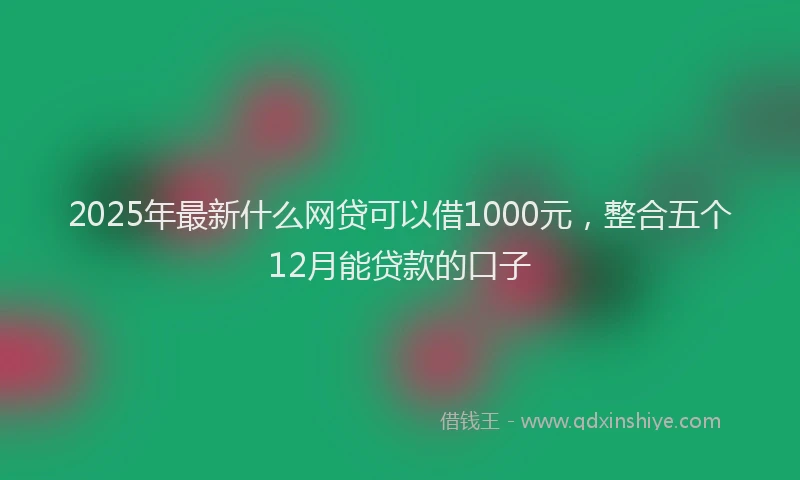 2025年最新什么网贷可以借1000元，整合五个12月能贷款的口子