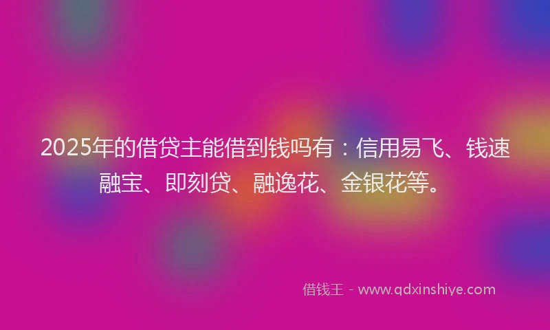 2025年的借贷主能借到钱吗有：信用易飞、钱速融宝、即刻贷、融逸花、金银花等。