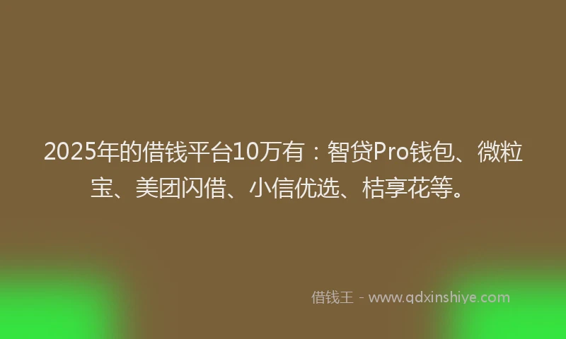 2025年的借钱平台10万有：智贷Pro钱包、微粒宝、美团闪借、小信优选、桔享花等。